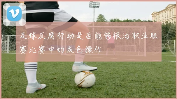 足球反腐行动是否能够根治职业联赛比赛中的灰色操作