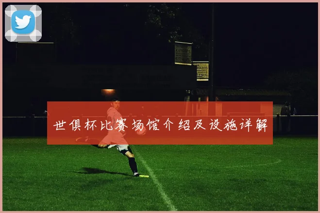 世俱杯比赛场馆介绍及设施详解