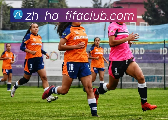 世界杯直播品牌故事